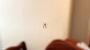 Spinnen aus der Wohnung loswerden, ohne sie zu t&ouml;ten