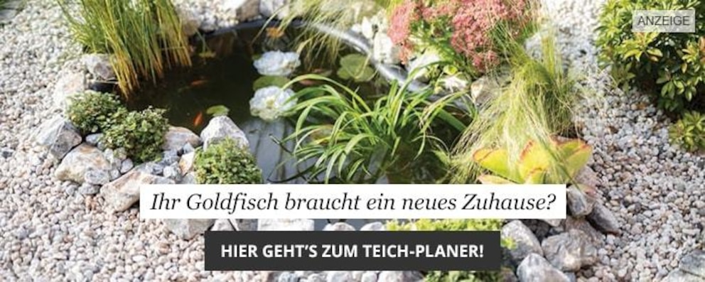 Diese Pflichten müssen Hausbesitzer beachten myHOMEBOOK