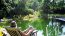 Ein Schwimmteich im eigenen Garten