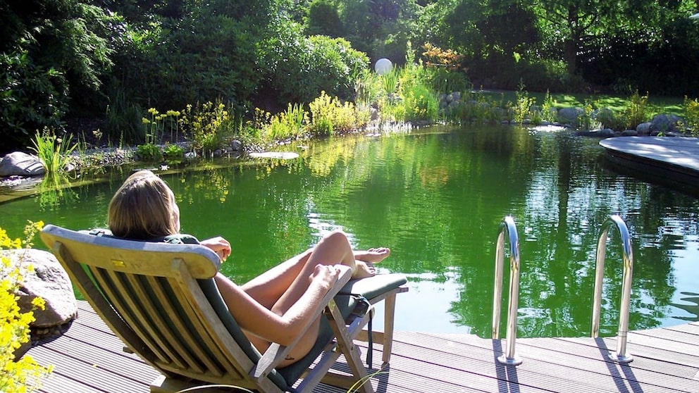 Ein Schwimmteich im eigenen Garten