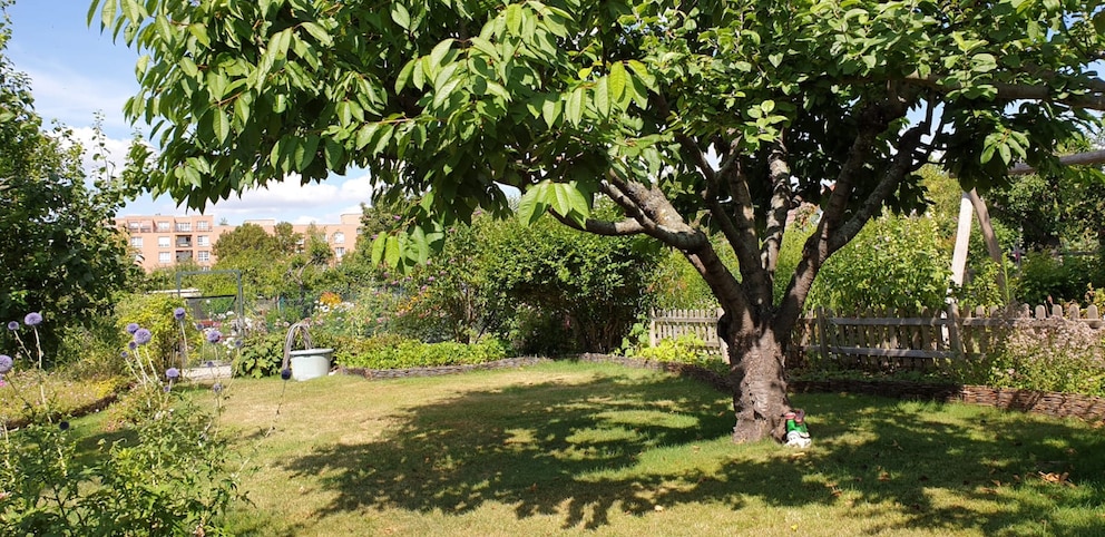 Ein Schrebergarten in Berlin bedeutet Freiheit