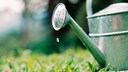 Wer Pflanzen von oben herab mit Wasser beregnet, verschwendet unter Umständen einen Teil der wertvollen Ressource.