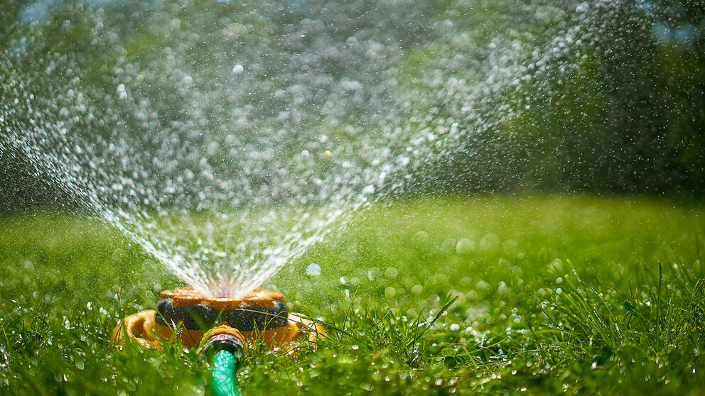 Muss man für Gießwasser Abwassergebühren zahlen?