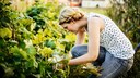 Gartenarbeiten im August