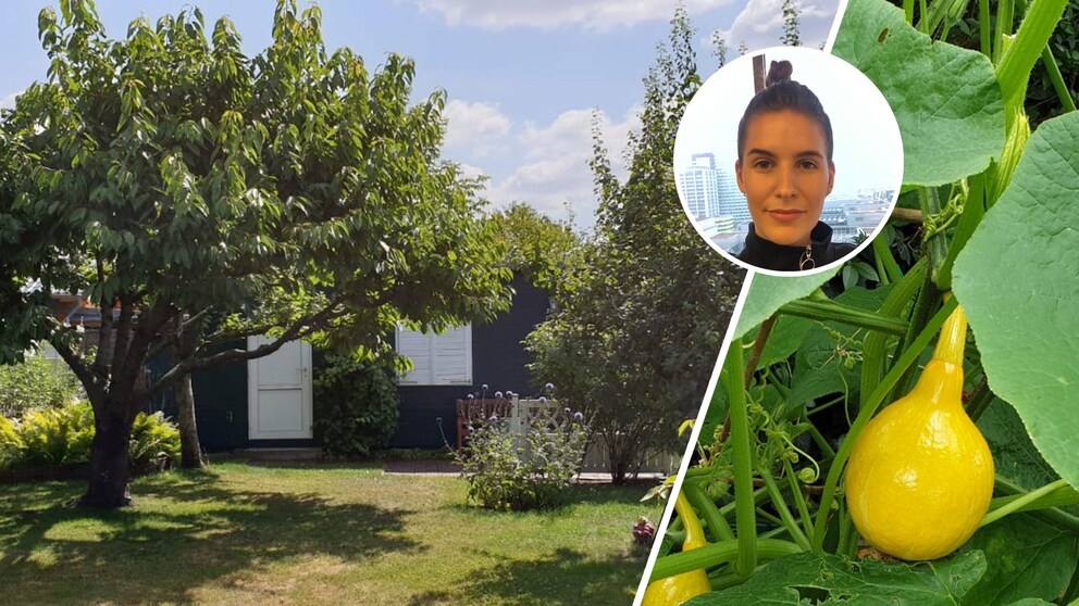 Ein Schrebergarten in Berlin bedeutet Freiheit