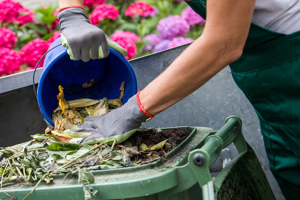 Eine Biomülltonne wird mit Abfallresten befüllt