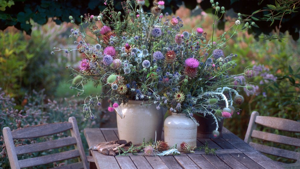 Disteln in der Vase