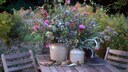 Disteln in der Vase