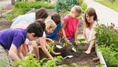 Wie man Kinder fürs Gärtnern begeistern kann