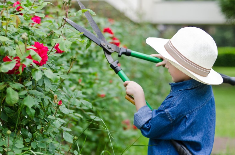 Kinder fürs Gärtnern begeistern