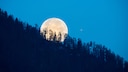 Der Mond soll bestimmte Eigenschaften von Holz beeinflussen. Was steckt dahinter?