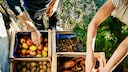 Obst und Gemüse online tauschen und verkaufen
