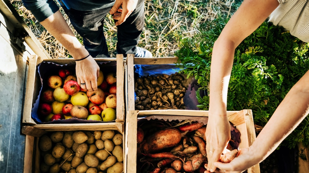 Obst und Gemüse online tauschen und verkaufen