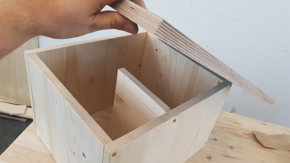 A look inside the hedgehog house