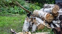 Axt und Beil kommen meistens bei der Holzarbeit zum Einsatz