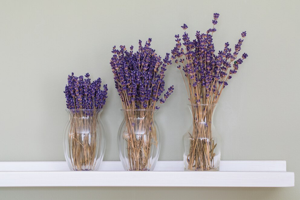 Getrockneter Lavendel für zu Hause