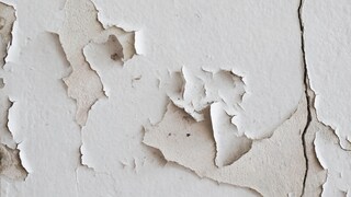 Mithilfe von Anzeichen Bauschäden finden