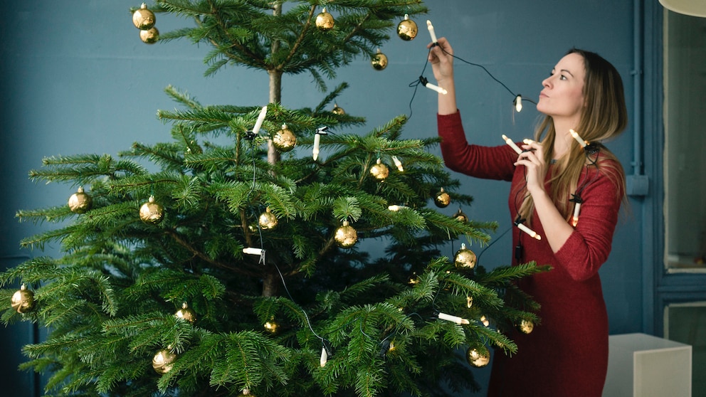 Lichterkette am Weihnachtsbaum: Worauf Sie achten müssen