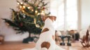 Worauf Haustierbesitzer bei Weihnachten achten müssen, um es tiersicher zu gestalten