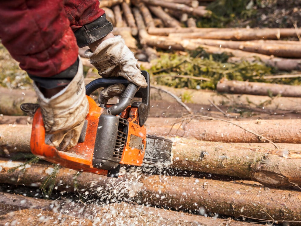 The chainsaw is mainly used in forestry work