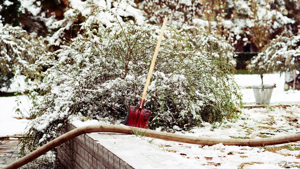 Auch im Winter gibt es Projekte für den Garten