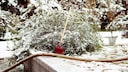 Auch im Winter gibt es Projekte für den Garten