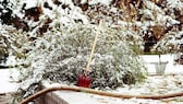 Auch im Winter gibt es Projekte für den Garten