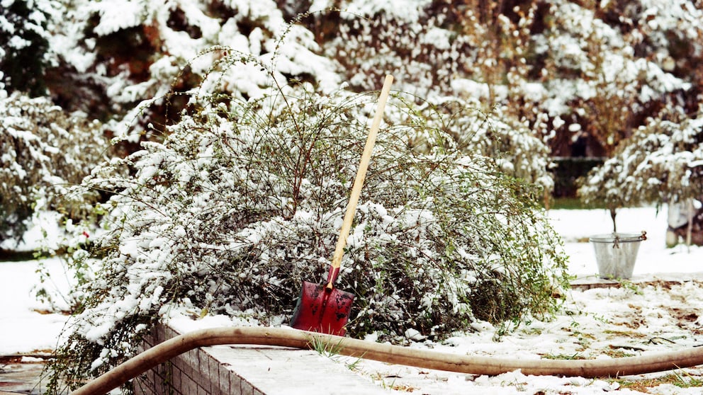 Auch im Winter gibt es Projekte für den Garten