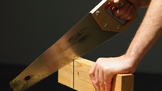 Wann man welche Säge braucht