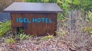 Igelhaus für den Garten selbst bauen mit Video-Anleitung