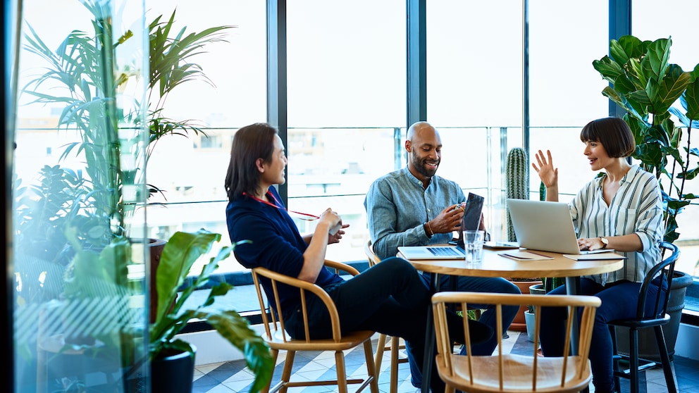 Pflanzen fürs Büro für ein besseres Arbeitsklima