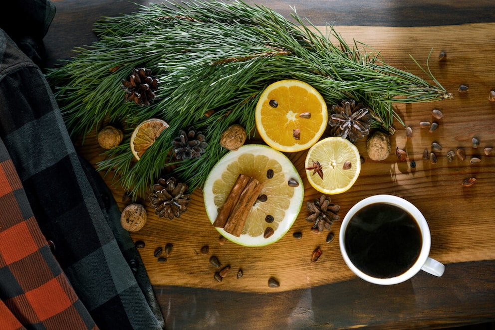 Upcycling fir needles into tea