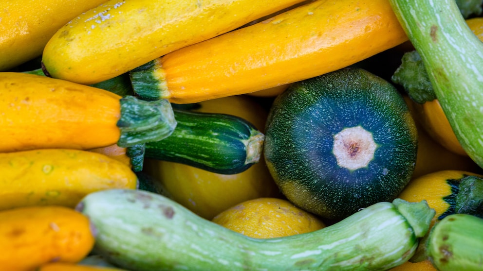 Verschiedenfarbige Zucchini liegen nebeneinander