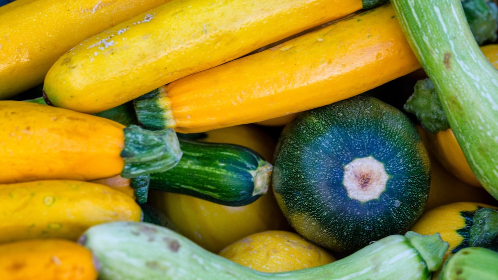 Verschiedenfarbige Zucchini liegen nebeneinander