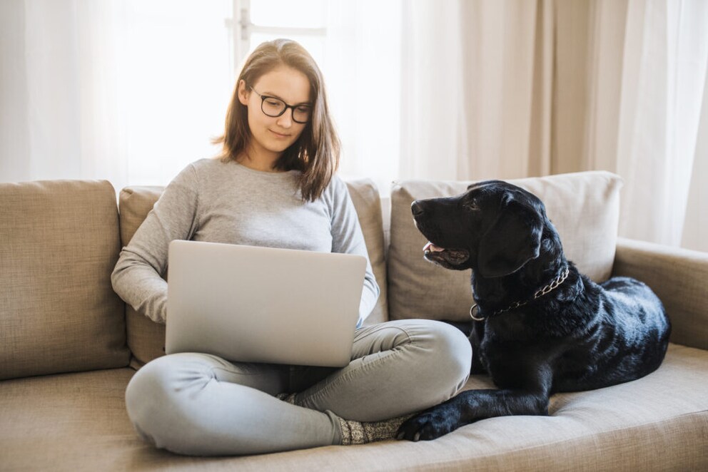 Sofa Purchase Online
