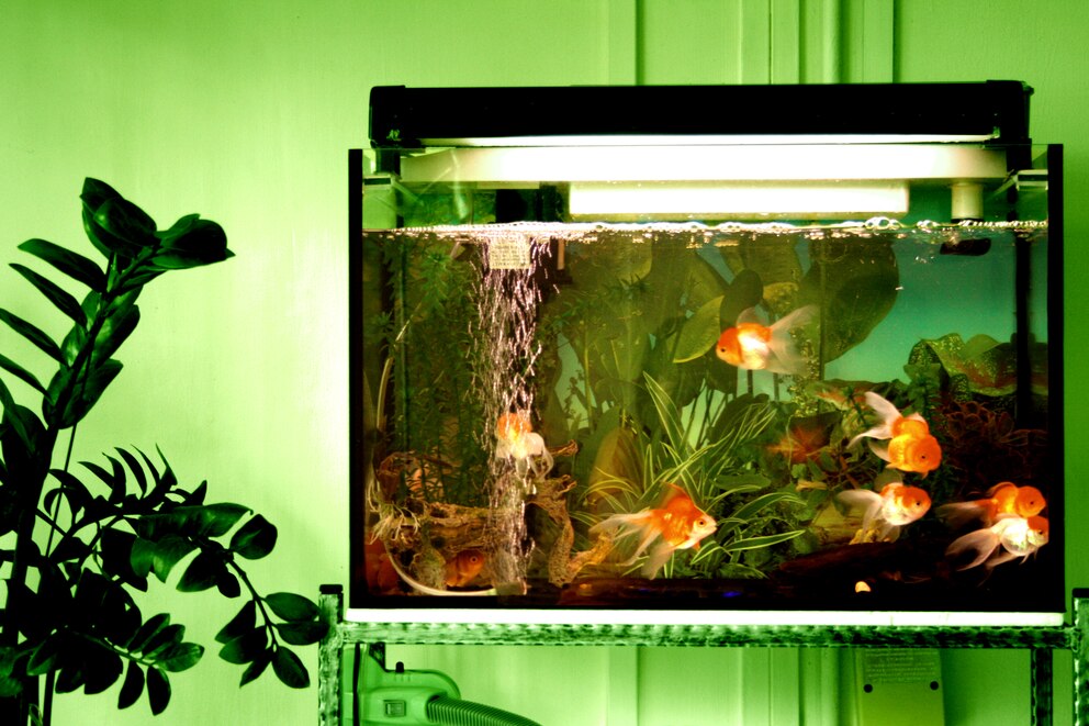 Aquarium Unterschrank