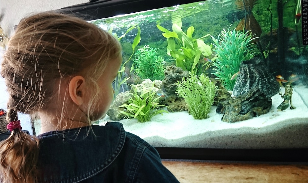 Aquarium einrichten Bodengrund