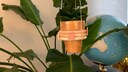 Blumenampel selber machen DIY