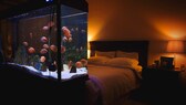 Alternative zum Fernseher: Ein Aquarium im Schlafzimmer. Aber bis es so schön aussieht, ist ein bisschen Zeit und Geduld nötig.