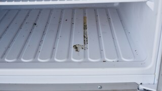 Was ist zu tun, wenn sich im Kühlschrank Schimmel gebildet hat?