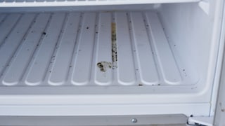 Was ist zu tun, wenn sich im Kühlschrank Schimmel gebildet hat?