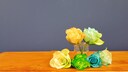 Gef&auml;rbte Rosen &ndash; so einfach geht es