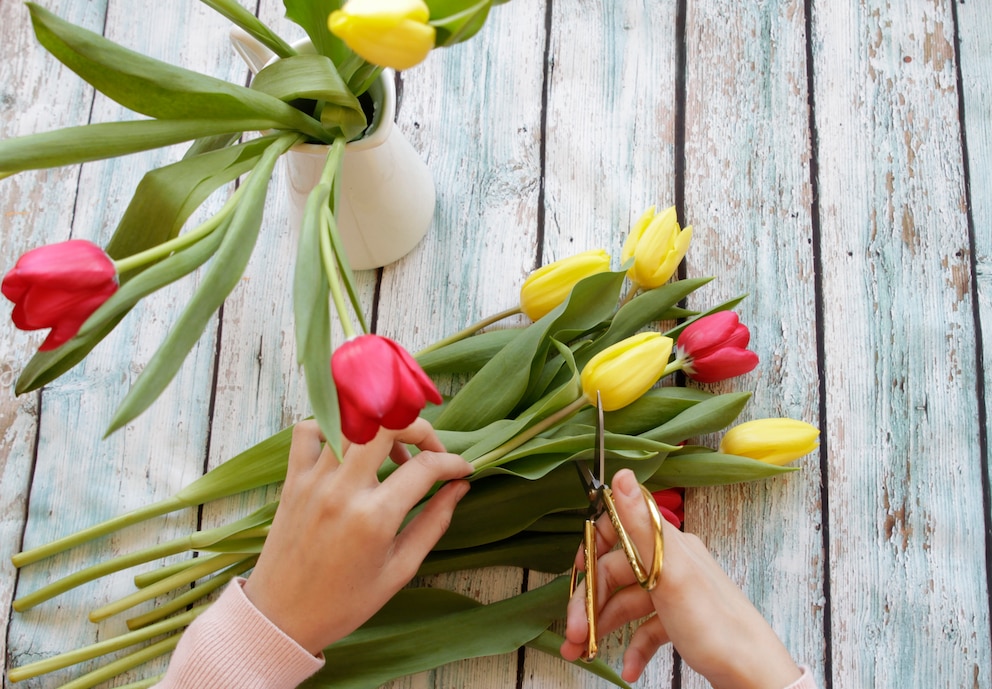 Tulpensträuße richtig schneiden