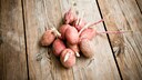 Kartoffeln vorziehen, um die Ernte zu verbessern