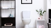 Dank des neuen Gadgets kann man der Toilette ein echtes Highlight verpassen