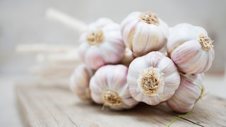 Knoblauch selbst im Garten pflanzen