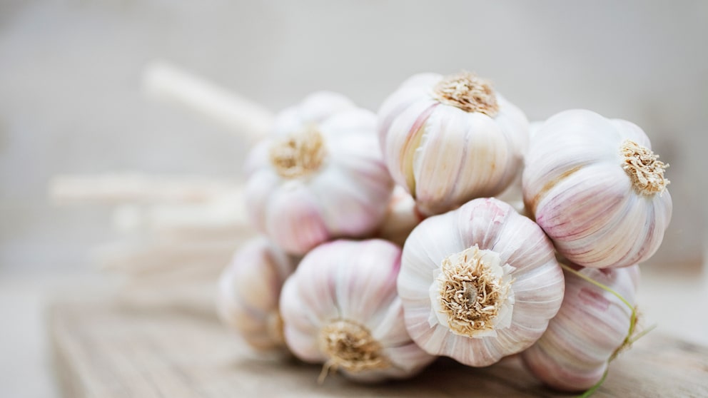 Knoblauch selbst im Garten pflanzen