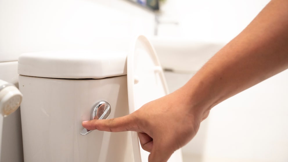 Desinfektionstücher, Taschentücher, Feuchttücher – was man nicht in der Toilette entsorgen darf