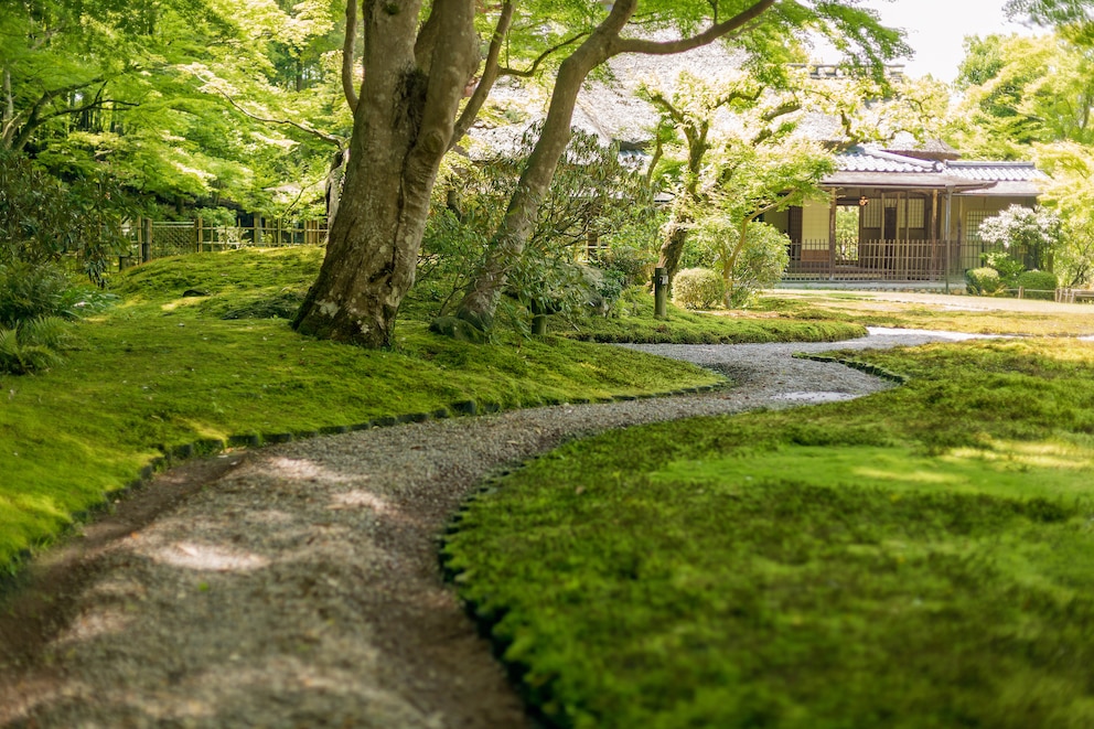 Ein Gartenweg mit Schüttgut ist weniger kompliziert und liefert ein ansprechendes Ergebnis