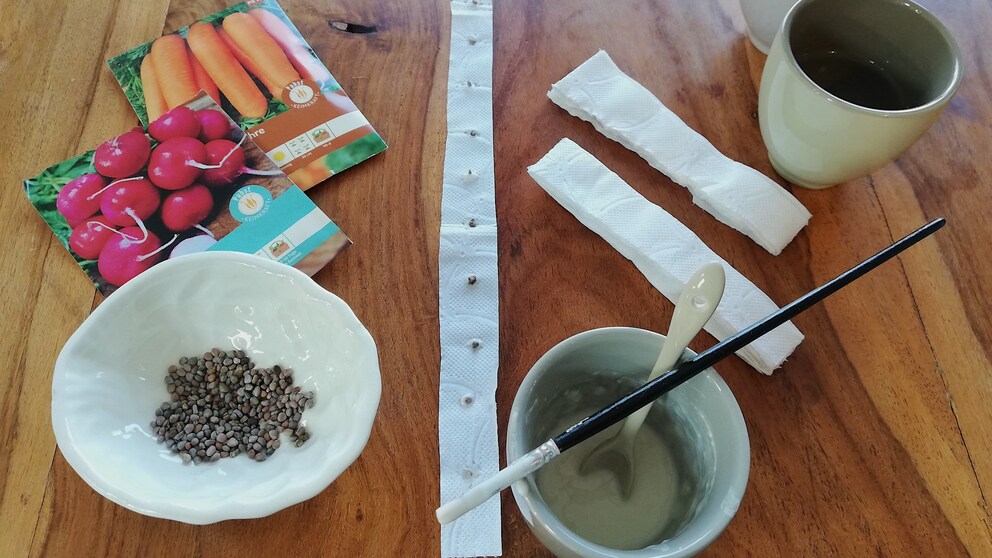DIY-Saatbänder basteln – mit Anleitung